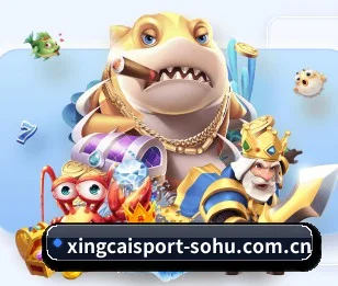 杏彩体育 APP - Xingcai